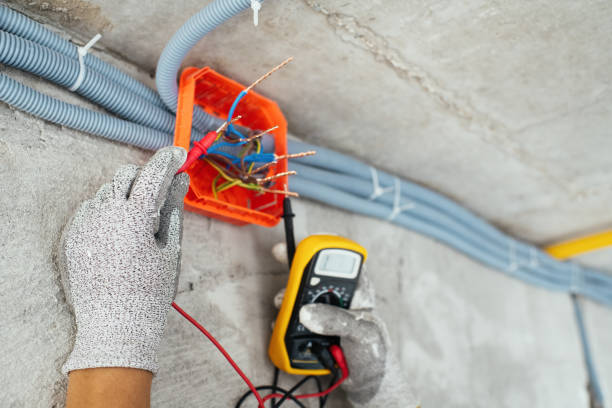 Best Electric Panel Repair  in Leisuretowne, NJ